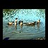 boys playing with boat.jpg - 39k - 9/11/2002 12:33:16 AM